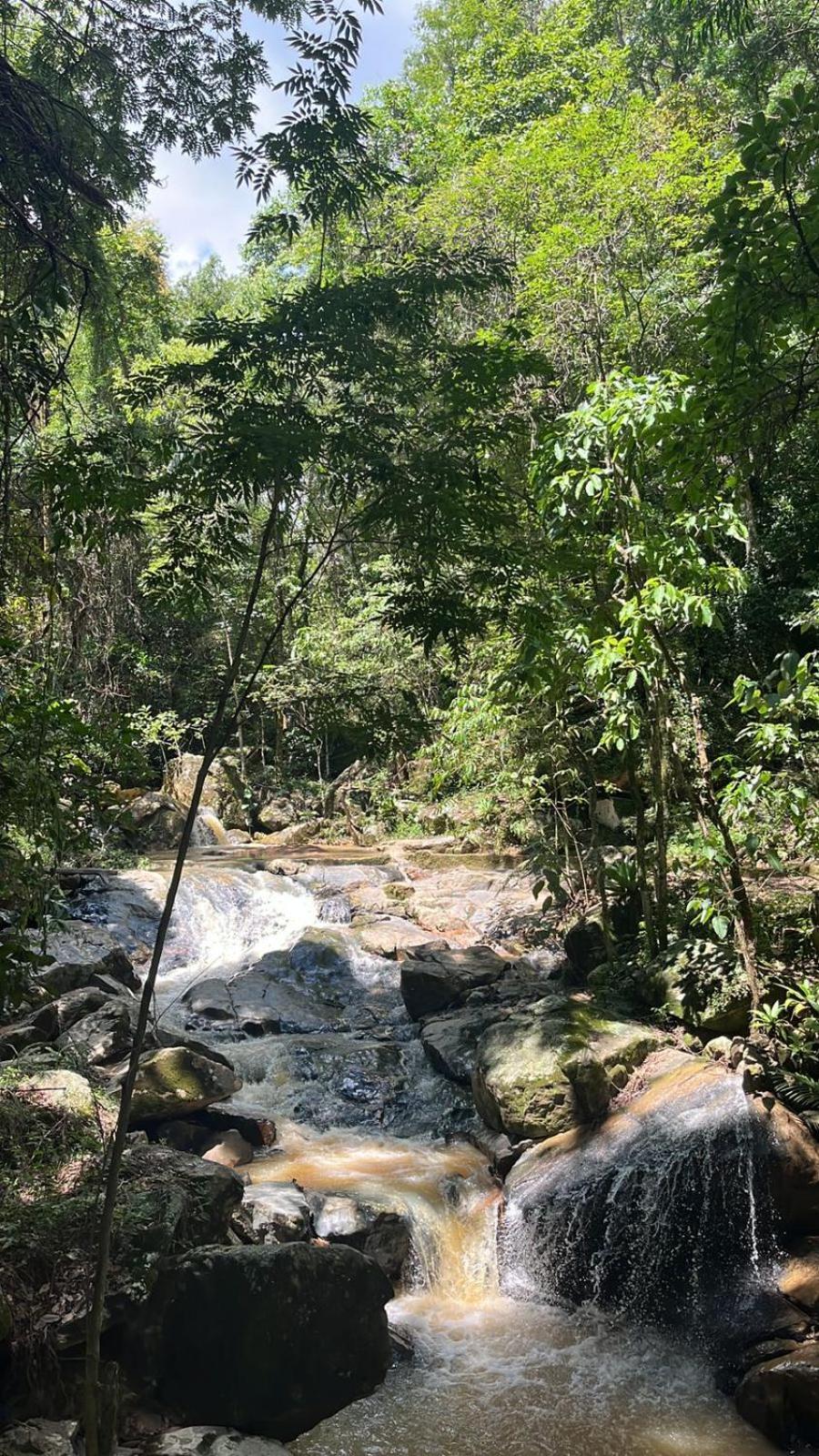 Quinta Da Bocaina Villa Amparo  Dış mekan fotoğraf
